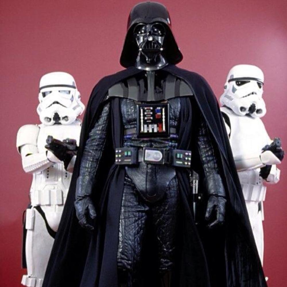 Meet your Posher, Bernadette